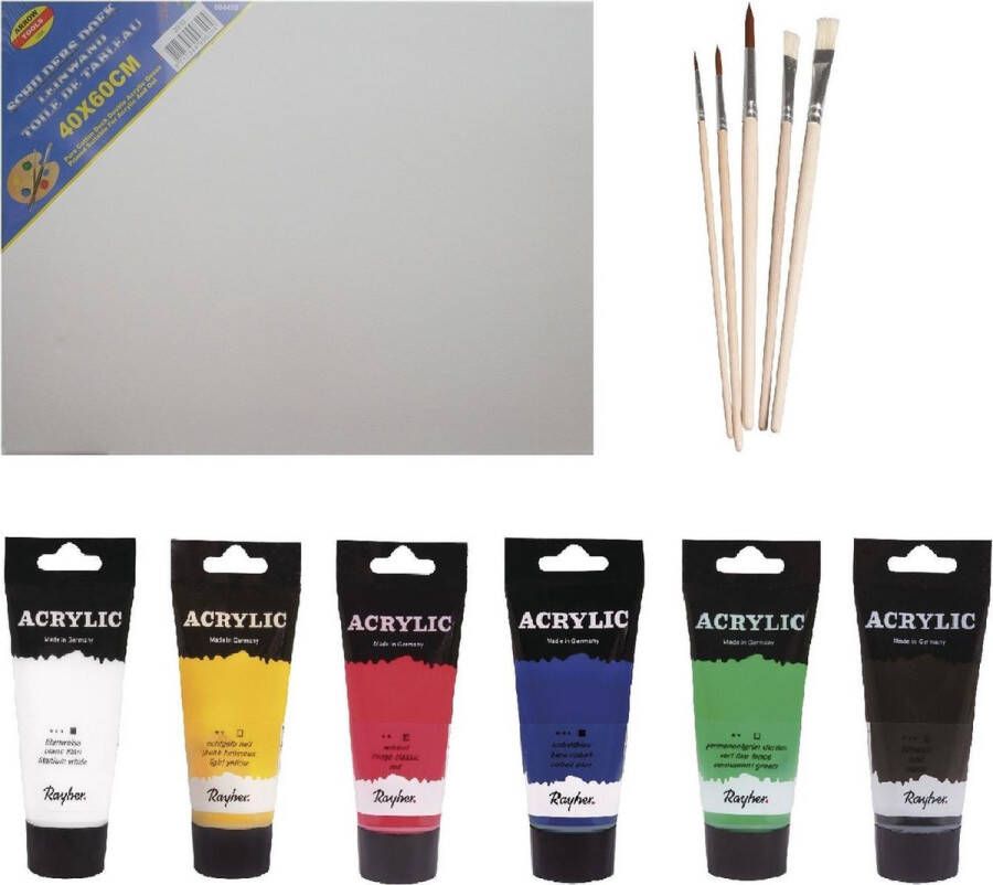 Rayher hobby materialen Schilders verf set van 6x tubes acrylverf hobbyverf 75 ml + doek van 40 x 60 cm + 5x kwasten basic kleuren in grote tubes