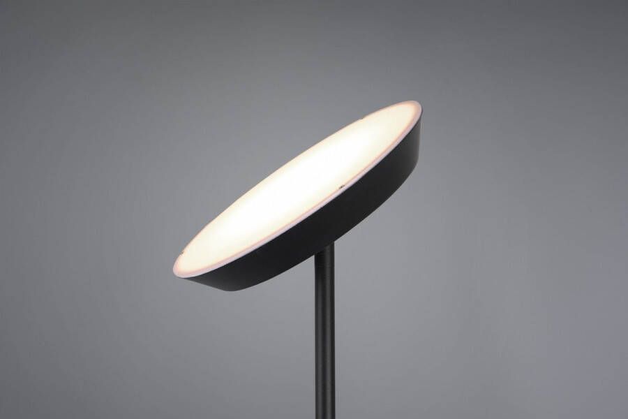 Reality Haora Vloerlamp Industrieel Zwart H:180cm Universeel Voor Binnen Metaal Vloerlampen Staande lamp Staande lampen Woonkamer Slaapkamer