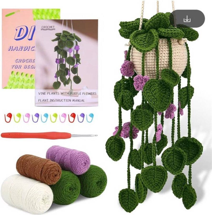 ReCiton haken voor beginners haakpakket schattig hangplantje groen paars haken voor starters starterspakket haken