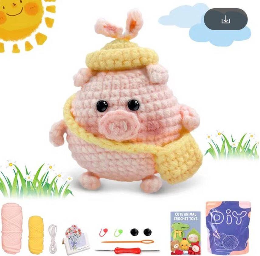ReCiton haken voor beginners haakpakket schattig varkentje haken voor starters starterspakket haken