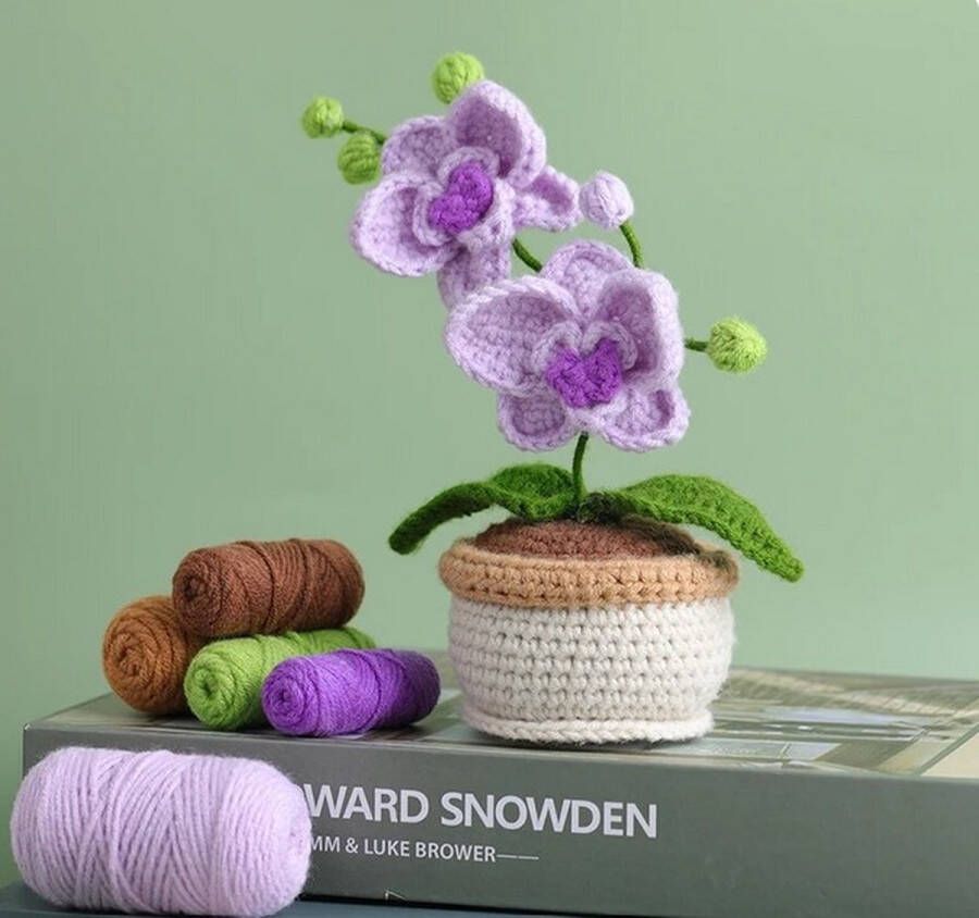 ReCiton haken voor beginners haakpakket schattige orchidee haken voor starters starterspakket haken