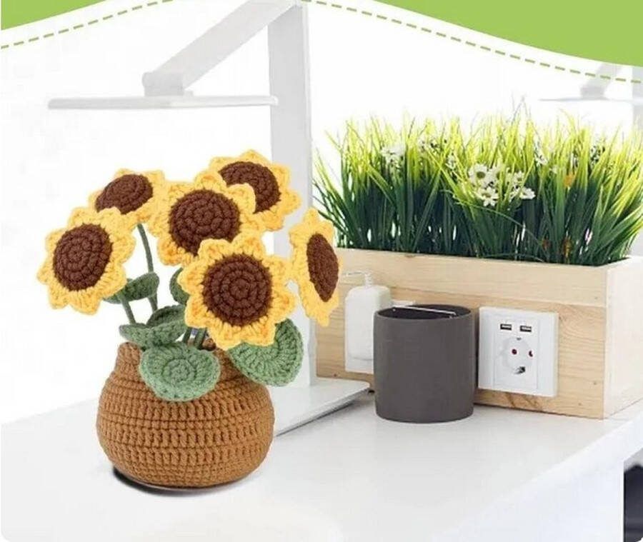 ReCiton haken voor beginners haakpakket schattige zonnebloem haken voor starters starterspakket haken