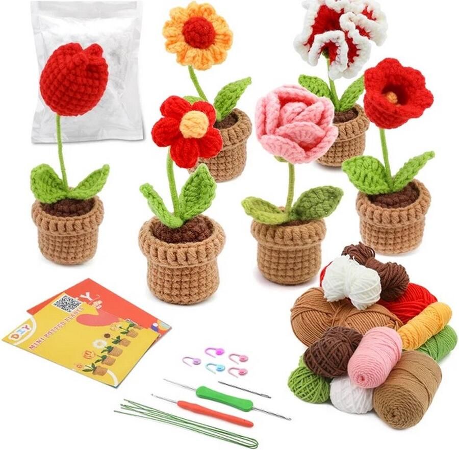 ReCiton haken voor beginners haakpakket schattige bloemenset haken voor starters starterspakket haken 6 soorten bloemen