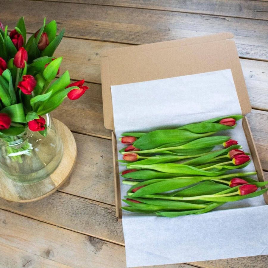 Regiobloemist.nl Regiobloemist Premium Vers van Kweker Tulpen Rode Tulpen Brievenbus