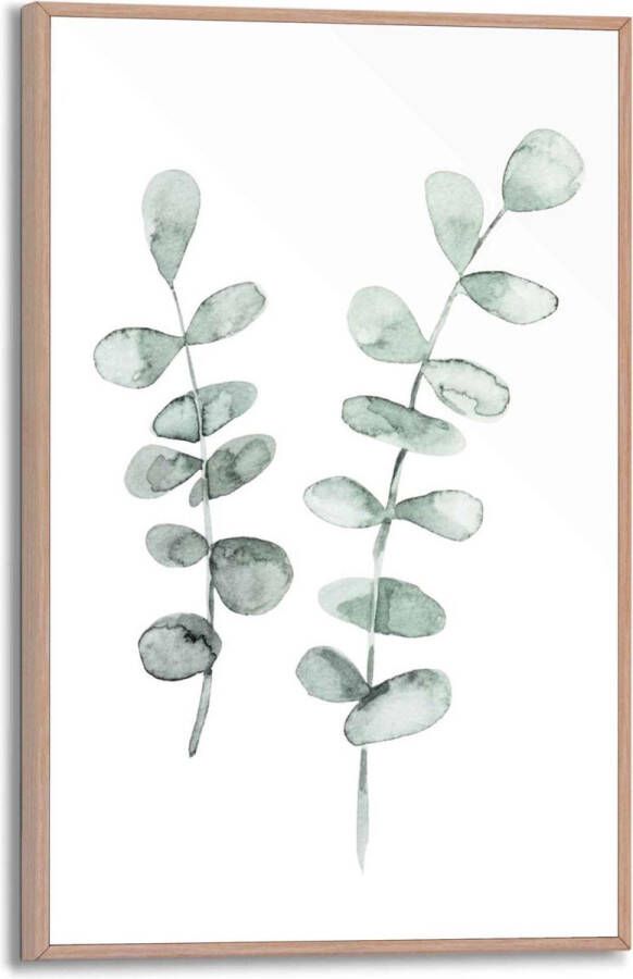 Reinders Eucalyptus Botanisch Plant Natuur Bladeren Schilderij Slim Frame 20 x 30 cm MDF