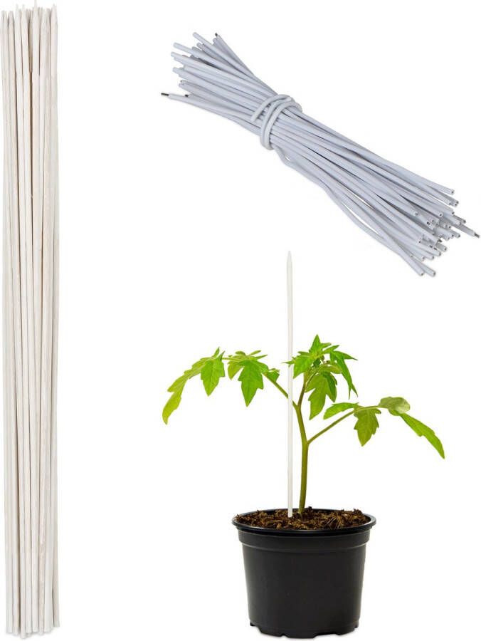 Relaxdays bamboestokken set van 50 witte plantenstokken 30 cm plantensteun decoratie