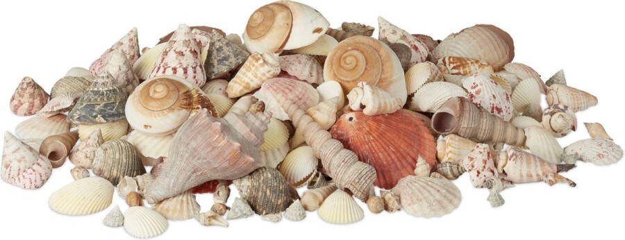 Relaxdays decoratie schelpen set 2 kg kleurrijke mix maritieme tafeldecoratie bont