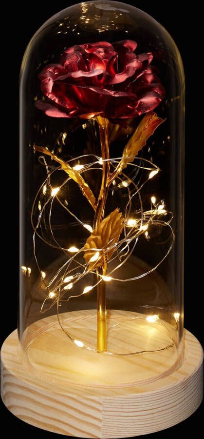Relaxdays eeuwige roos in stolp kunstbloem met LED-lampjes liefdescadeau Valentijn