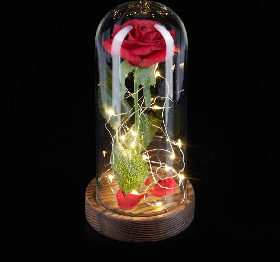 Relaxdays Eeuwige roos in stolp liefdescadeau met LED eeuwige bloem in glas rood