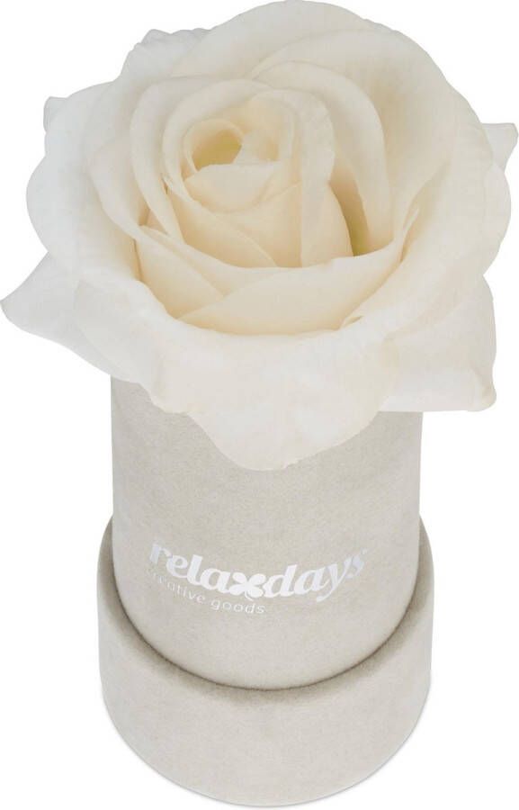 Relaxdays flowerbox rozenbox grijs decoratie kunstbloem 1 roos in box wit