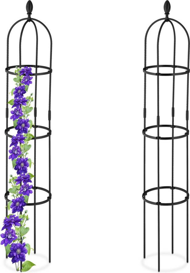 Relaxdays plantensteun klimplanten 160 cm set van 2 klimplantensteun metaal groot