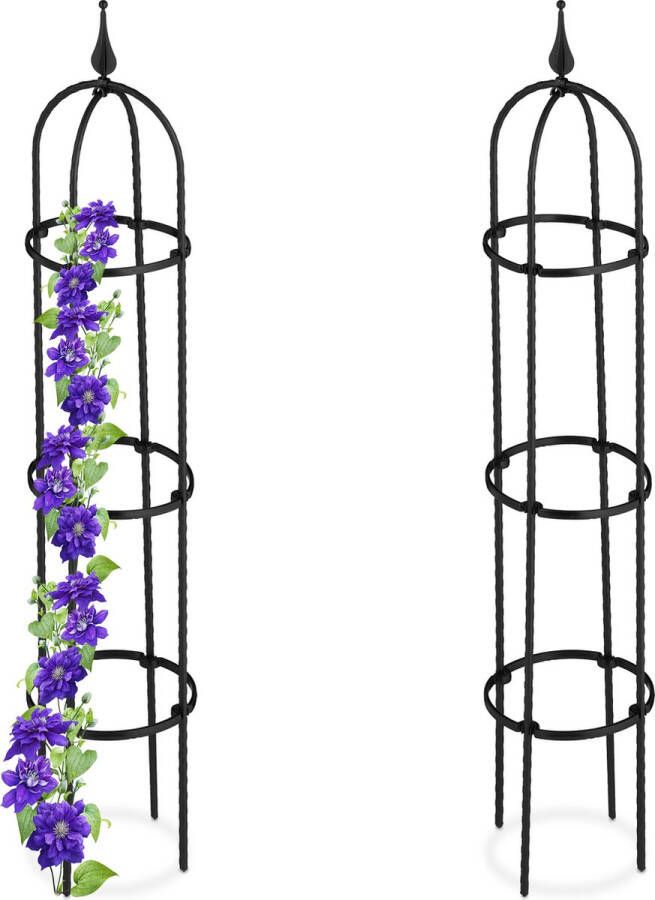 Relaxdays plantensteun klimplanten set van 2 100 cm rankhulp klimsteun planten