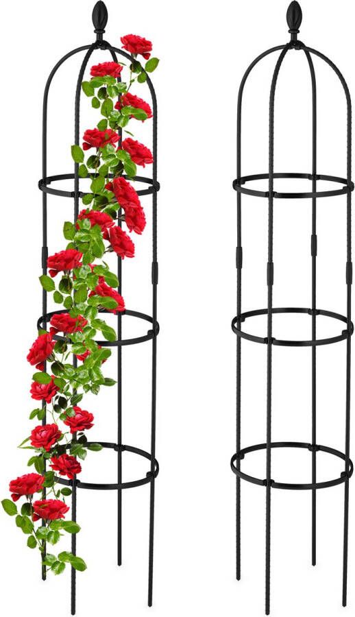 Relaxdays plantensteun klimplanten set van 2 160 cm hoge klimplantensteun rankhulp