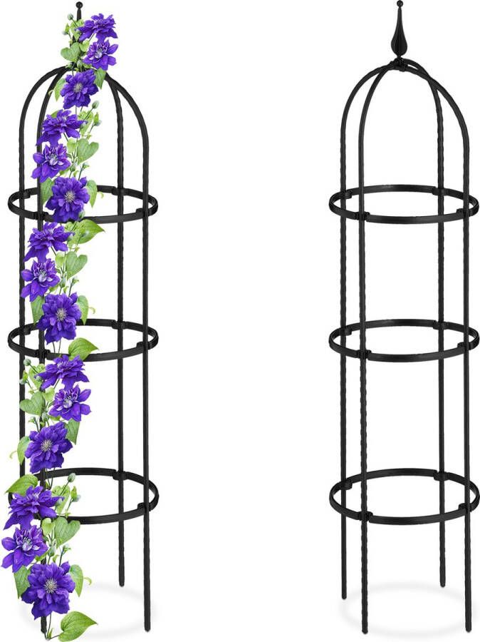 Relaxdays plantensteun klimplanten set van 2 rankhulp 100 cm klimplantensteun tuin