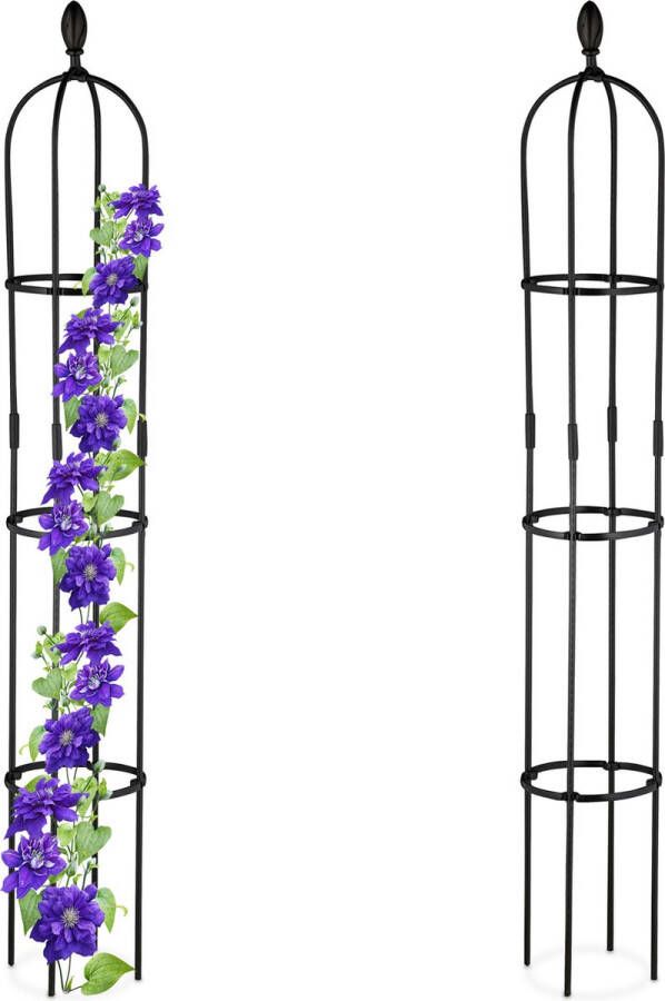 Relaxdays plantensteun klimplanten set van 2 rankhulp 160 cm klimsteun hoog