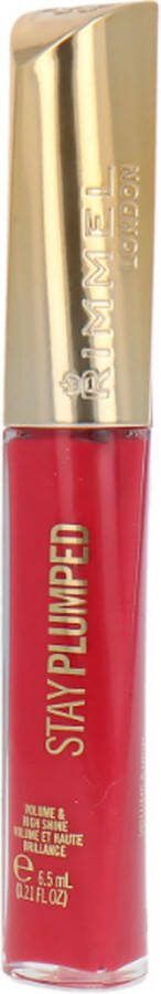 Rimmel London Rimmel Stay Plumped Lipgloss 501 Raspberry Sundae