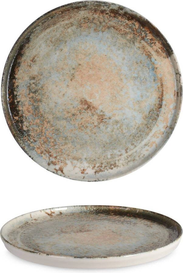 Rinart Dinerbord Obvara Porselein 28 cm set van 6