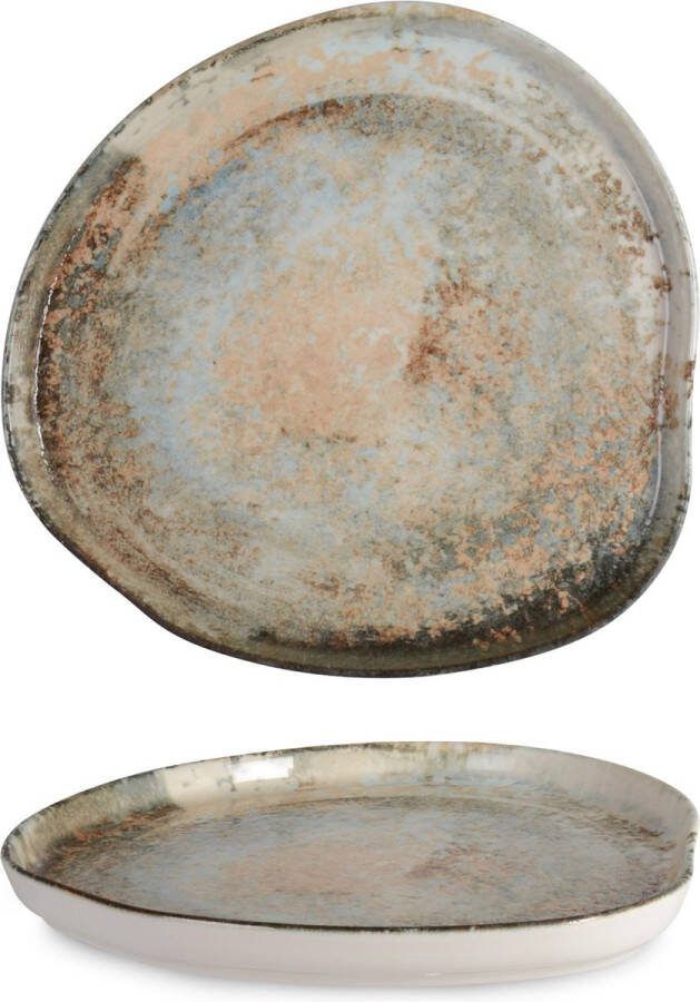 Rinart Dinerbord Obvara Porselein 30 cm set van 6