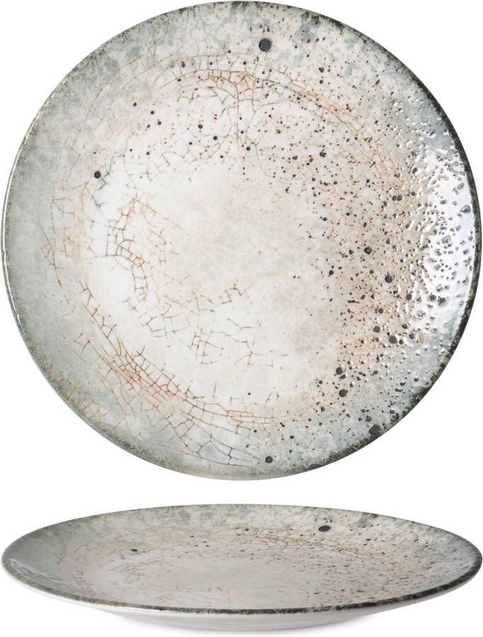 Rinart Dinerbord Sedir Porselein 27 cm set van 6