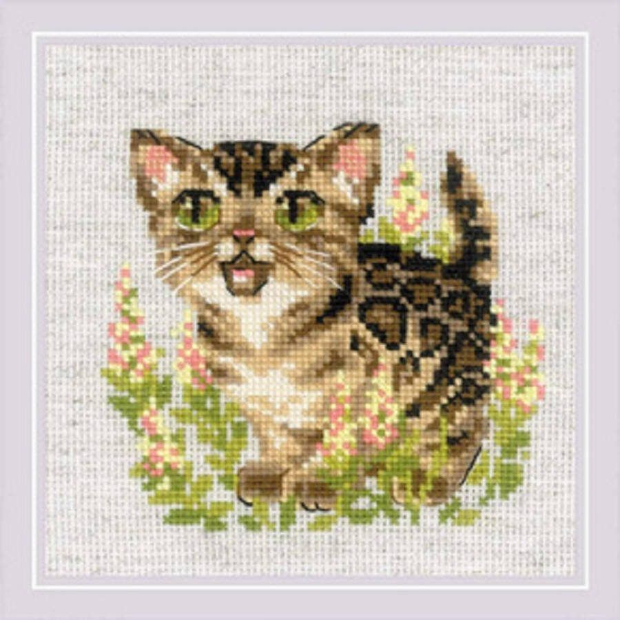 Riolis Borduurpakket Bengal Kitten Telpakket