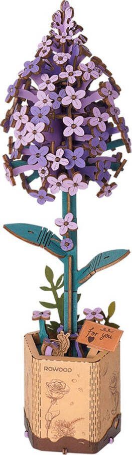 Robotime Lilac TW021 Lila Knutselen DIY Houten bouwpakket Volwassenen