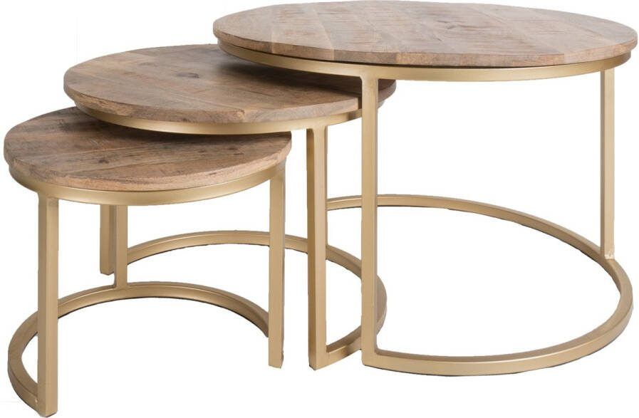 Rootsmann 3 Salontafels Bruin & Goud Mangohout & Metaal