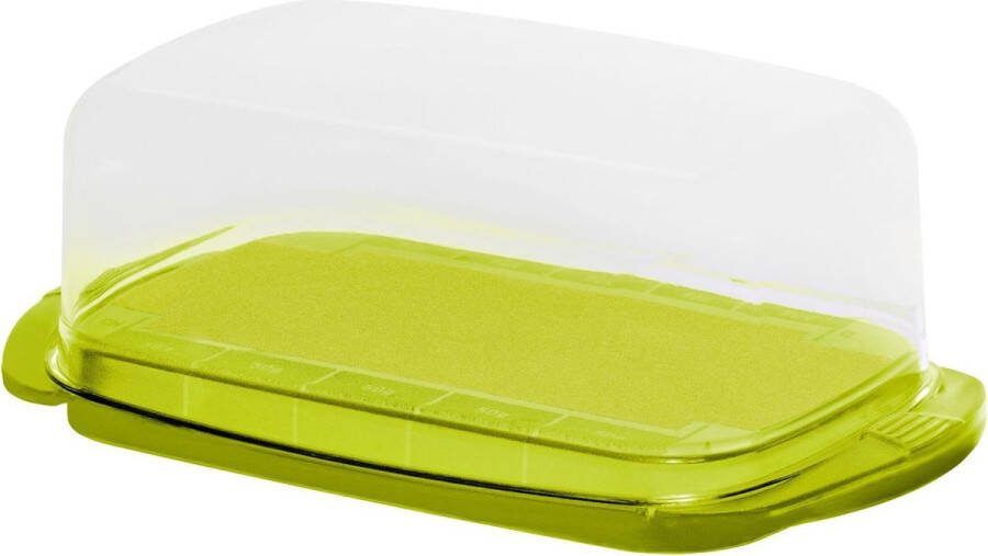 Rotho botervloot FRESH limoen groen