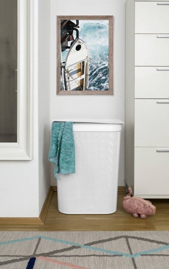 Rotho Brisen Wasverzamelaar 50l met deksel en 2 handgrepen Kunststof (PP) BPA-vrij wit 50l (43.1 x 34.0 x 52.9 cm)