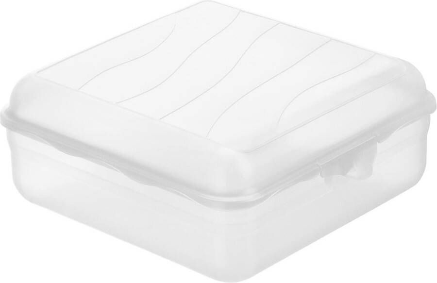 Rotho lunchbox FUN 2 35 l (20 x 20 x 8 cm) transparant 2350 ml