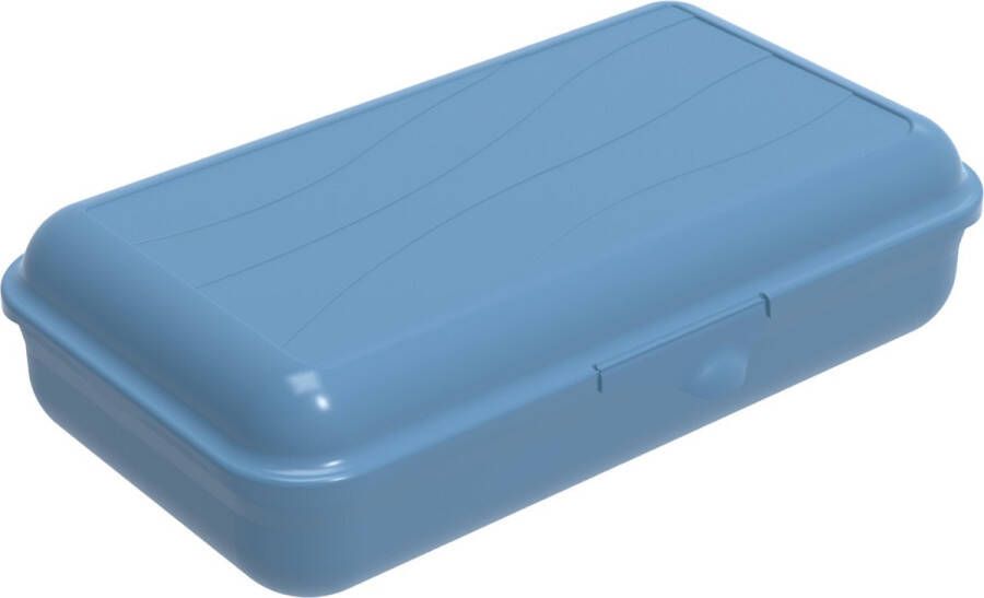Rotho Lunchbox Met Verdeelschotjes -l 1.7lt Fun Horizon Blauw 1 St