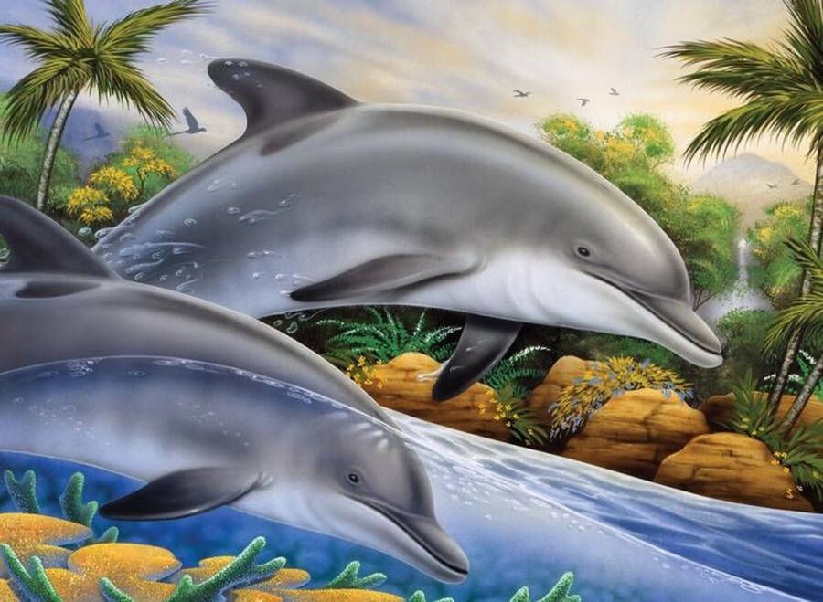 Royal & langnickel Schilderen op nummer Paint by numbers Dolfijnenpaar 28.6x39cm Schilderen op nummer volwassenen Paint by numbers volwassenen