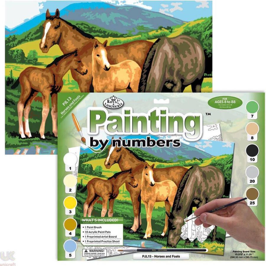 Royal Brush Schilderen op nummer Paint by numbers Junior Horses and foals