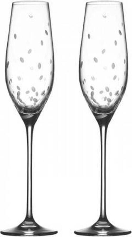 Royal Doulton Toasting Flutes Celebration Champagneglas 0 16 l per 2