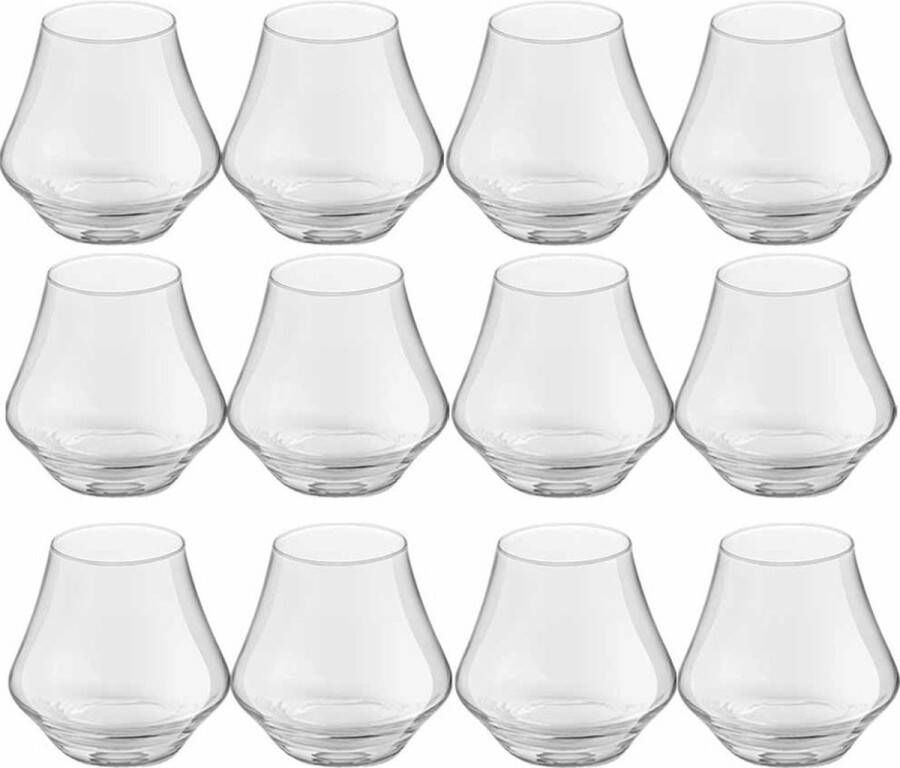 Royal Leerdam 12x Likeur whisky glazen transparant 220 ml Artisan serie 22 cl borrelglazen