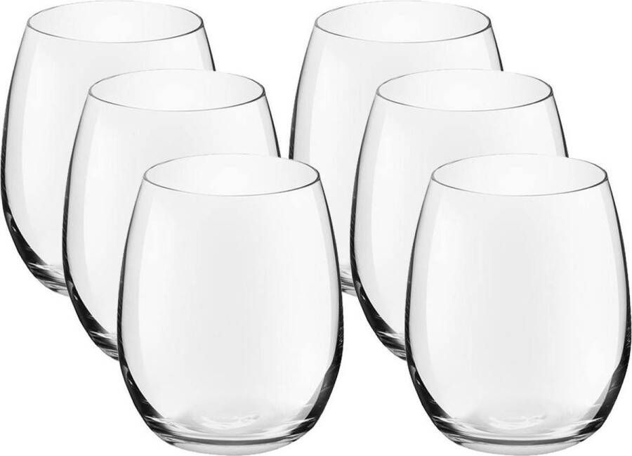 Royal Leerdam 12x Drinkglazen waterglazen Bouquet transparant 390 ml Tumbler drinkglazen rond van glas 390 ml