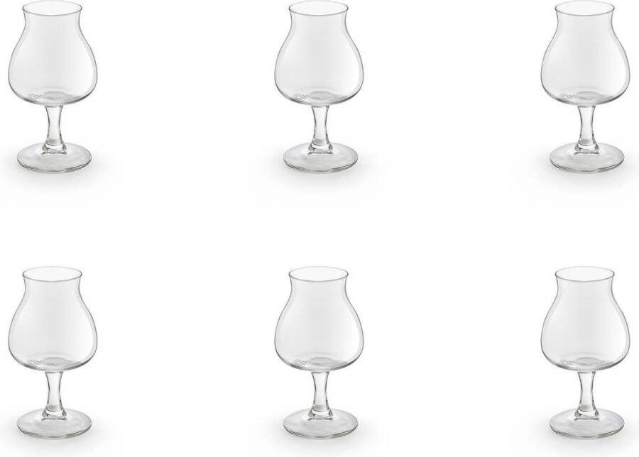 Royal Leerdam Specials AnDer 1.0 bierproefglas 25 cl set van 6