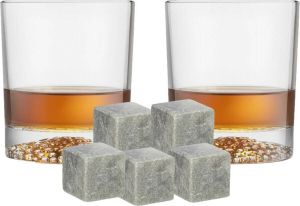 Royal Leerdam whiskyglazen set 4x stuks van 290 ml en 9x whisky ijsblokstenen Cadeau set vaderdag