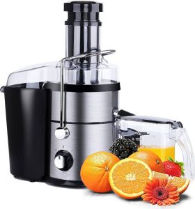 Royalty line PJ-19002 Slowjuicer Sapcentrifuge voor Groenten & Fruit Juicer met 1 Liter Sapbeker en 2 Liter Pulpreservoir Power Juicer met 3 Snelheden 1000W Zilver