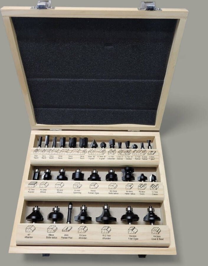 RvS Tools RStools 30 delige PROF bovenfrezen set opname Ø8