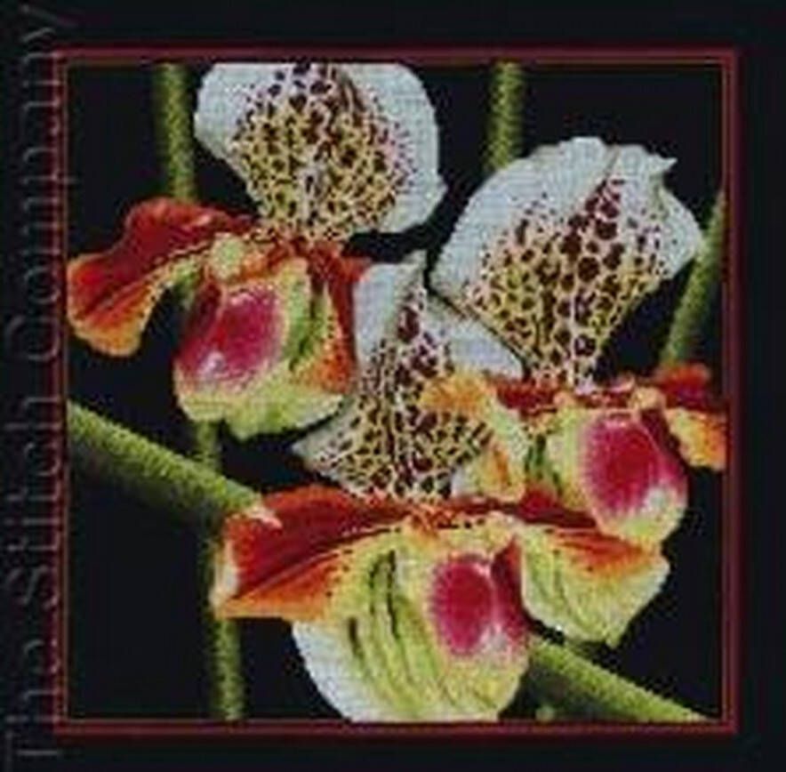 RTO Borduurpakket Orchids Paphiopedilum om te borduren m263