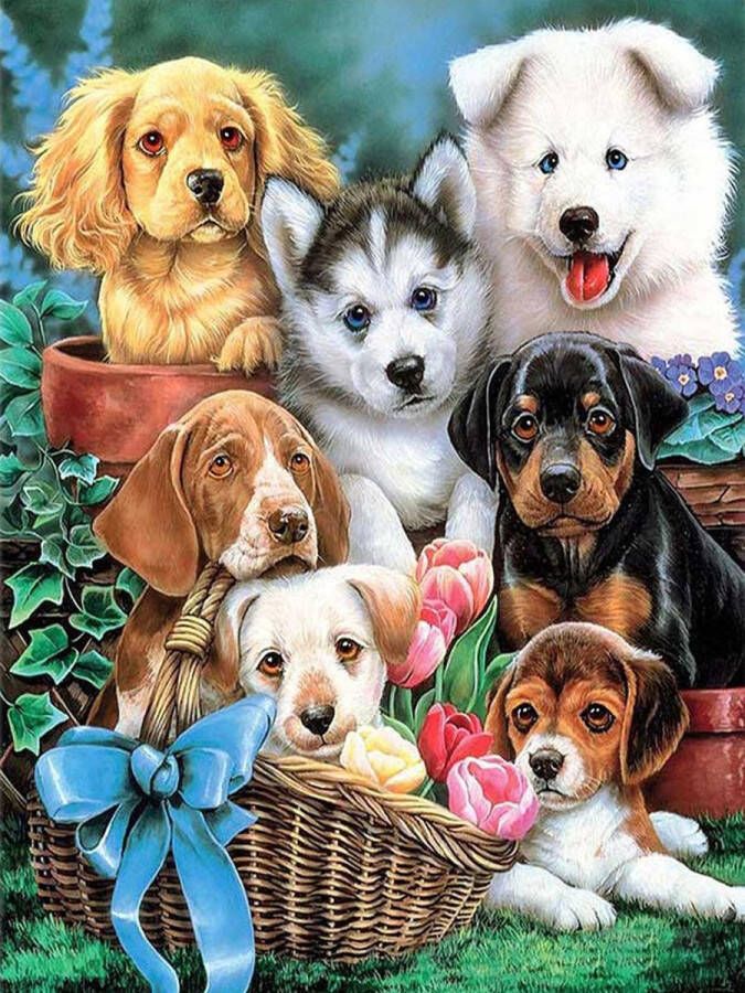 Rubye Diamond Painting Volwassenen Diamond Painting Kinderen Schattige Puppy's 30x40cm