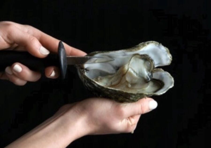 Sabatier oestermes: Het beste mes om oesters mee te openen