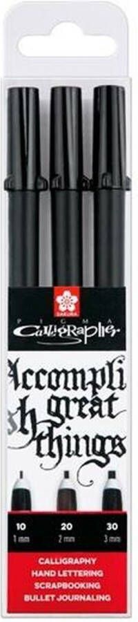 Sakura Pigma Calligrapher 3 kalligrafiepennen 1 2 en 3 mm