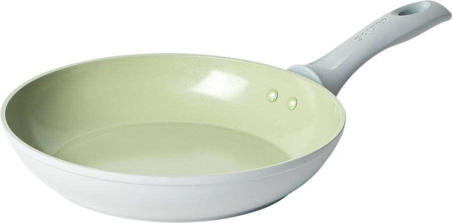 Salter Earth frituren Pan Non-Stick 24 cm Induction gesmeed aluminium groen grijs