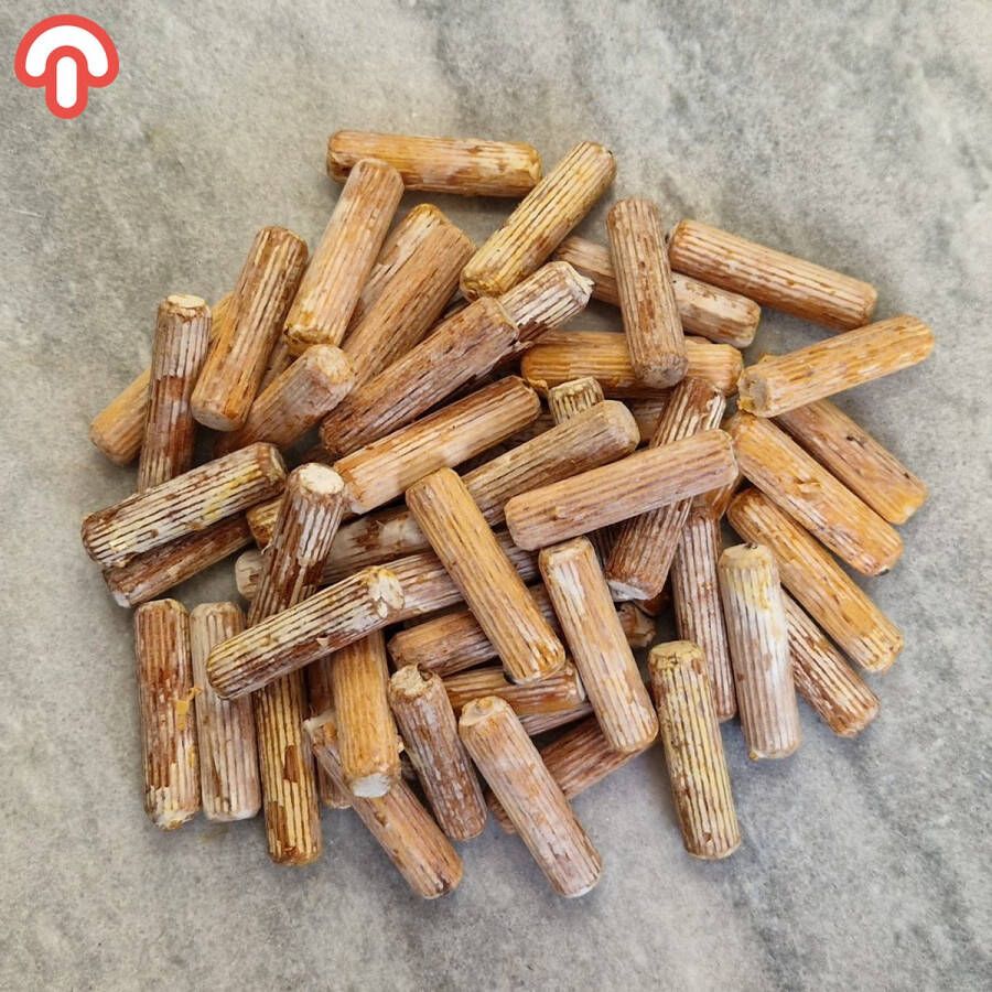 Samzwam Pluggen Pruikzwam Pluggen Lion's Mane Deuvels Superfood Gezondheidsvoordelen (25 stuks)