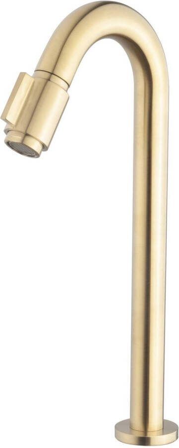 Saqu Essential 2.0 Fonteinkraan 20 cm Hoge Uitloop Goud Toiletkraan Koudwaterkraan WC kraan