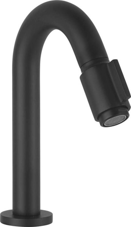 Saqu Essential 2.0 Luxe Fonteinkraan 18.90 cm met C-uitloop Mat Zwart Toiletkraan Koudwaterkraan WC Kraan
