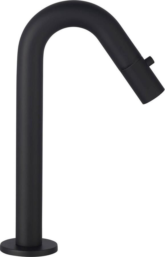 Saqu Tube Fonteinkraan 20.60 cm C-uitloop Mat Zwart Messing Toiletkraan Koudwaterkraan WC Kraan