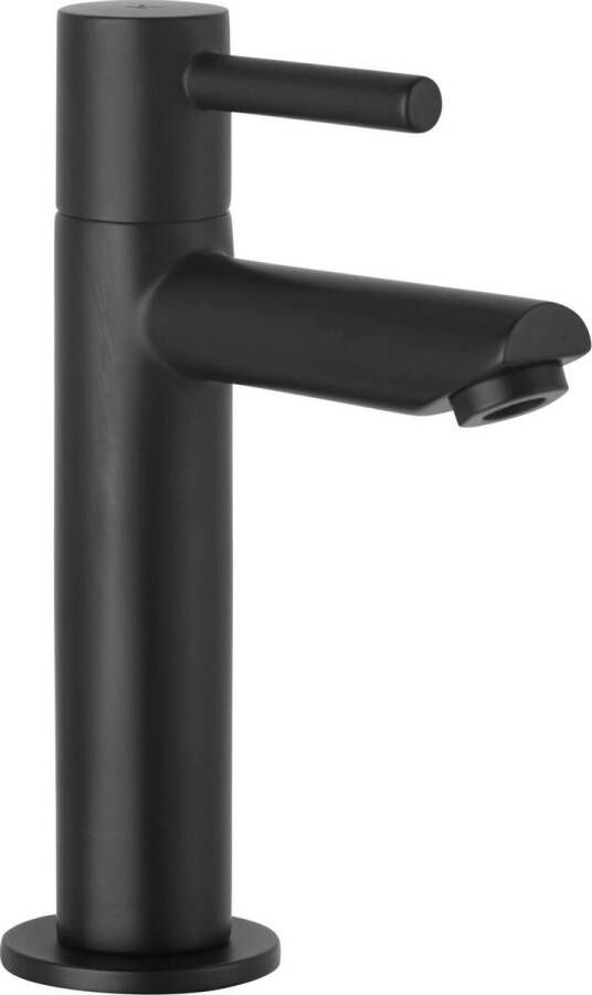 Saqu Shine Fonteinkraan 10 cm Hoge Uitloop Mat Zwart Toiletkraan Koudwaterkraan WC kraan