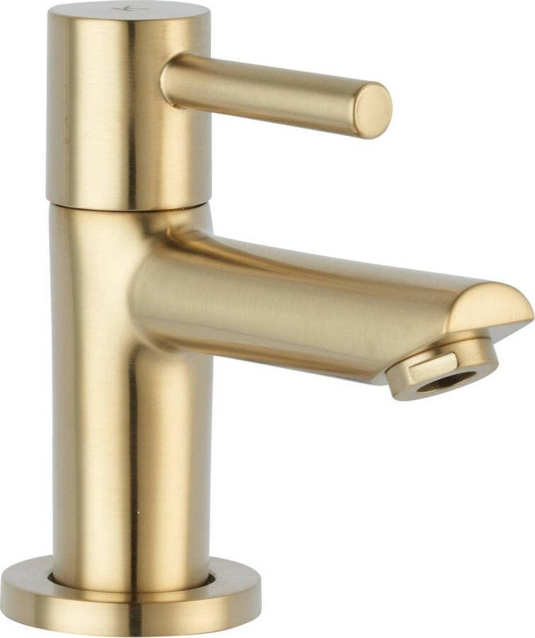 Saqu Shine Fonteinkraan 10.40 cm Goud-look Toiletkraan Koudwaterkraan WC Kraan